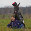 ���������� ������, ���� ������� ����, 33 ����, ������������ ��� ������, ����� � ���������, c�������� ���������