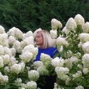 ���������� ������, ���� ������� �����, 40 ���, ������������ ��� c�������� ���������, ���������