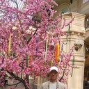 ���������� ������ ��������, ���� ������� Roman, 44 ����, ������������ ��� ������, ����� � ���������, c�������� ���������