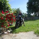  ,   , 46 ,   c , 