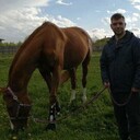 ���������� ������, ���� ������� �������, 49 ���, ������������ ��� ������, ����� � ���������, c�������� ���������