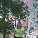  ,    , 33 ,   ,   , c 