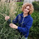 ���������� �����-���������, ���� ������� �����, 51 ���, ������������ ��� ������, ����� � ���������, c�������� ���������