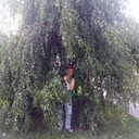  ,   , 60 ,   c 