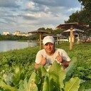 ���������� ������, ���� ������� ������, 43 ����, ������������ ��� ������, ����� � ���������