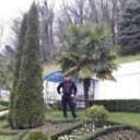  ,   , 43 ,   ,   , c , 