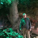  ,   , 50 ,   ,   