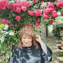 ���������� ���������, ���� ������� ���������, 65 ���, ������������ ��� ����� � ���������, c�������� ���������