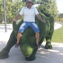 ���������� ���������, ���� ������� �����, 43 ����, ������������ ��� ������, ����� � ���������, c�������� ���������