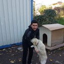  ,   Can, 34 ,   ,   