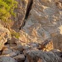 ���������� �����, ���� ����� ����, 25 ���, ������������ ��� ������, ����� � ���������