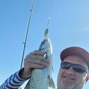 ���������� ������, ���� ������� �������, 50 ���, ������������ ��� ������, ����� � ���������, c�������� ���������