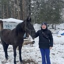 ���������� �����-���������, ���� ������� �������, 37 ���, ������������ ��� ������, ����� � ���������, c�������� ���������