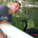 ���������� ��������, ���� ������� Zenuk, 38 ���, ������������ ��� ������, ����� � ���������, c�������� ���������