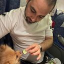 ���������� ������, ���� ������� ����, 40 ���, ������������ ��� ������, ����� � ���������