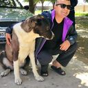  ,   , 50 ,   ,   