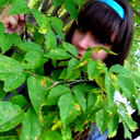  ,   , 32 ,   ,   , c 