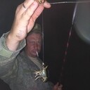 ���������� �������, ���� ������� ���������, 40 ���, ������������ ��� ������, ����� � ���������