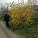  ,   , 39 ,     , c 