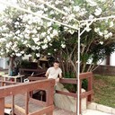  ,   Arsen, 49 ,   ,   