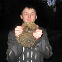 ���������� ����, ���� ������� Miha, 41 ���, ������������ ��� ������, ����� � ���������, c�������� ���������