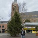 ���������� Venray, ���� ������� ��������, 50 ���, ������������ ��� ������, ����� � ���������