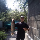 ���������� ������, ���� ������� ����, 41 ���, ������������ ��� ����� � ���������, c�������� ���������