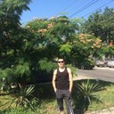 ���������� ������, ���� ������� �������, 37 ���, ������������ ��� ������, ����� � ���������, c�������� ���������