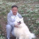  ,   , 51 ,   , 