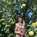 ���������� ���������, ���� ������� �������, 67 ���, ������������ ��� c�������� ���������