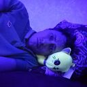 ���������� ��������, ���� ������� ���������, 34 ����, ������������ ��� ������, ����� � ���������