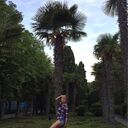 ���������� ������, ���� ������� ���, 26 ���, ������������ ��� ������, ����� � ���������