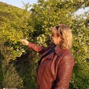  --,   , 63 ,   c 