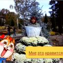 ���������� �������, ���� ������� ��������, 33 ����, ������������ 