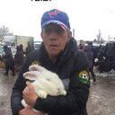  ,   IGOR JVENTUS, 61 ,   ,   , c , 