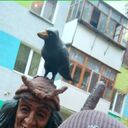 ���������� ���������� �����, ���� ������� ������, 44 ����, ������������ ��� ������, ����� � ���������