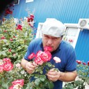 ���������� ������, ���� ������� �������, 106 ���, ������������ ��� ������, ����� � ���������, c�������� ���������