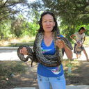  ,   , 65 ,  