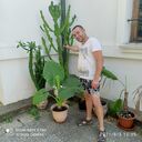 ���������� �����, ���� ������� ����, 43 ����, ������������ ��� ������, ����� � ���������, c�������� ���������