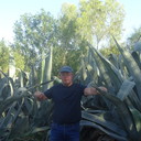 ���������� �����-���������, ���� ������� ������, 60 ���, ������������ ��� ����� � ���������, c�������� ���������