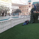 ���������� ������, ���� ������� ���������, 36 ���, ������������ ��� ������, ����� � ���������