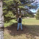 ���������� ���������, ���� ������� ������, 40 ���, ������������ ��� ����� � ���������, c�������� ���������