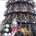 ���������� Pasadena, ���� ������� ����, 36 ���, ������������ ��� ������, ����� � ���������, c�������� ���������