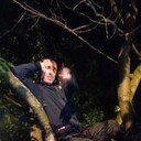 ���������� ������, ���� ������� �����, 44 ����, ������������ ��� ������, ����� � ���������