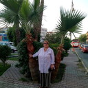  ,   , 64 ,   