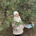 ���������� ������ ��������, ���� ������� ���������, 67 ���, ������������ ��� ������, ����� � ���������