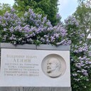 ���������� ������, ���� ������� �������, 46 ���, ������������ ��� ������, ����� � ���������