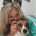 ���������� �����-���������, ���� ������� ������, 33 ����, ������������ ��� ������, ����� � ���������