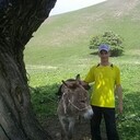 ���������� �����������, ���� ������� ������, 49 ���, ������������ ��� ������, ����� � ���������, c�������� ���������