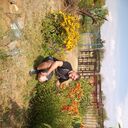 ���������� ������������, ���� ������� �������, 38 ���, ������������ ��� ������, ����� � ���������, c�������� ���������, ���������